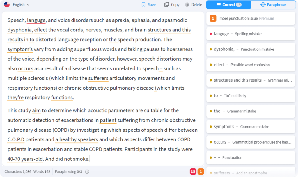LanguageTool Grammar Checker example